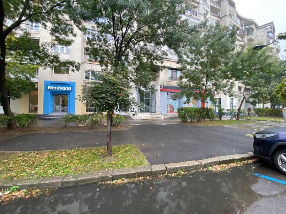 Green Apartment 43 Bukarest Exteriör bild